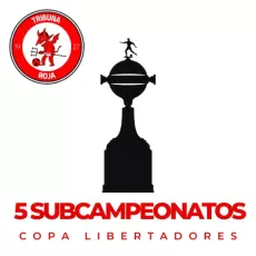 Logo Subcampeonatos Libertadores